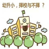 幼升小必读：各类小学的优势大对比 