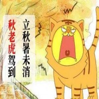 秋老虎大作战 润燥助睡眠