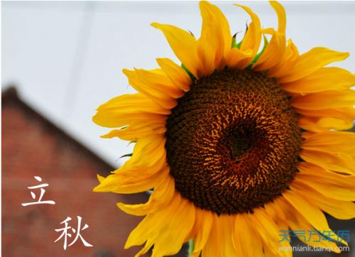 1535618264613565.jpg u=3508485262,3619663191&fm=26&gp=0.jpg