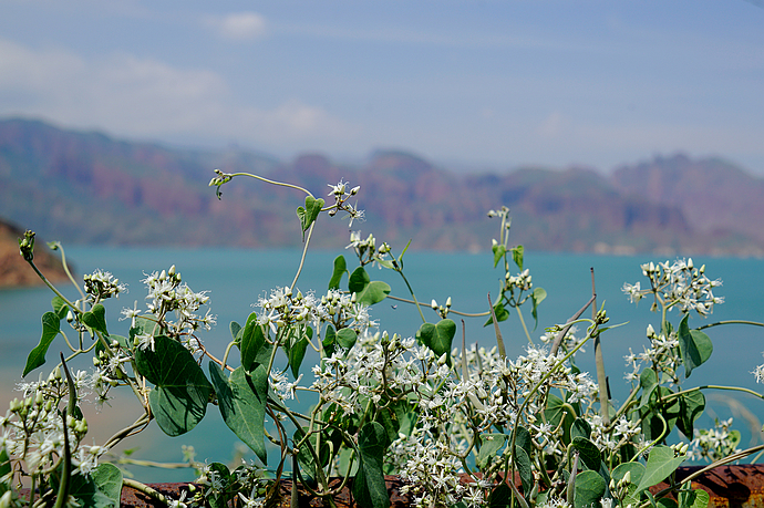 在<a href='http://travel.sina.com.cn/qinghai-lvyou/?from=b-keyword' target='_blank'>青海</a>,浊浪滔天的黄河也可以如此清澈美丽